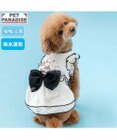 PET PARADISE ディズニー ミニーマウス クール ワンピース 《ドット柄》 小型犬