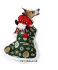 PET PARADISE ペットパラダイス 獅子舞 コート 小型犬