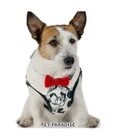PET PARADISE ディズニー ミッキーマウス＆プルート ベストハーネス 《モノクロ》 Ｓ