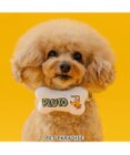 PET PARADISE ディズニー プルート 95周年 首輪 Ｓ 小型犬