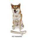 PET PARADISE ペットパラダイス スリム ハーネス＆リード 《ミモザ柄》 SM 中型犬