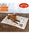 PET PARADISE ディズニー トイ・ストーリー 遠赤外線 ボア マット 《総柄》