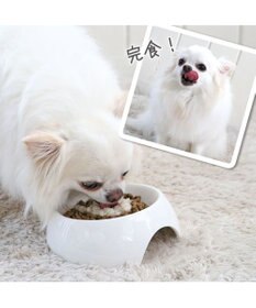 PET PARADISE リアルフード パウチスープ 《チキン＆ブロッコリー》 50g×3パック 国産