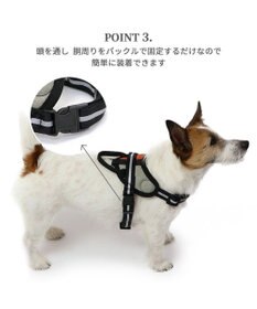 PET PARADISE ヘッドインハーネス 【Ｓ】 オレンジ / ブルー【  小型犬】