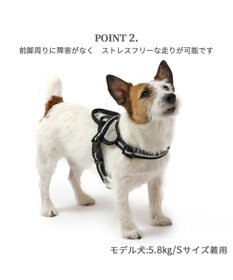 PET PARADISE ヘッドインハーネス 【Ｓ】 オレンジ / ブルー【  小型犬】