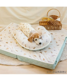 PET PARADISE ペットパラダイス makokoro シニアベッド 《犬柄》 Ｌ