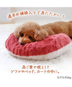 PET PARADISE ペットパラダイス 遠赤外線 アランボア ピロー
