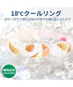 PET PARADISE ペットパラダイス １８℃ クールリング ＳＳ 《アイス柄》