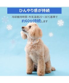 PET PARADISE ペットパラダイス １８℃ クールリング ＳＳ 《アイス柄》