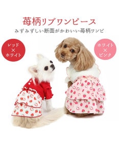 PET PARADISE 犬の服 犬 ワンピース 【小型犬】 苺柄 リブ ピンク レッド