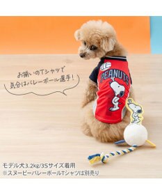 PET PARADISE スヌーピー パリパリバレーボールトイ