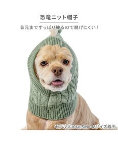 PET PARADISE ペットパラダイス ニット 帽子 《恐竜》 中型犬 大型犬