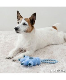PET PARADISE ディズニー スティッチ 手のロープトイ