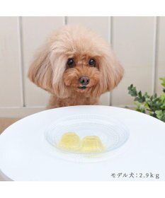 PET PARADISE りんごゼリー 10個入り 国産