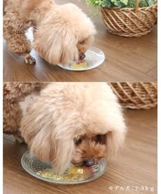 PET PARADISE りんごゼリー 10個入り 国産