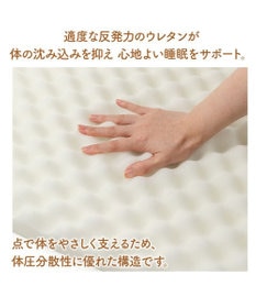 PET PARADISE ペットパラダイス makokoro シニアベッド 《犬柄》 Ｍ