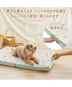 PET PARADISE ペットパラダイス makokoro シニアベッド 《犬柄》 Ｍ
