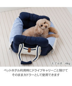 PET PARADISE ペットパラダイス ドライブキャリー 《ライン柄》