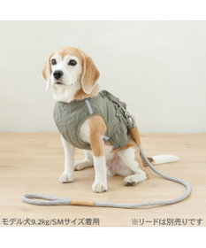 PET PARADISE ペットパラダイス ペタルオリーブ ベストハーネス Ｌ 大型犬