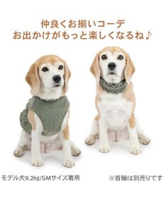 PET PARADISE ペットパラダイス ペタルオリーブ ベストハーネス ＳＭ 中型犬