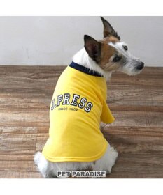 PET PARADISE J.PRESS カレッジ Ｔシャツ 小型犬