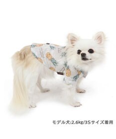 PET PARADISE パイナップル柄 アロハシャツ 【小型犬】