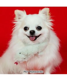 PET PARADISE ペットパラダイス 干支 巳 マフラー 《グリーン》 小型犬 ４Ｓ～３Ｓ・ＤＳＳ
