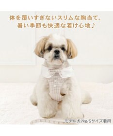 PET PARADISE ペットパラダイス くまちゃん 襟付き スリム ハーネス＆リード ４Ｓ/３Ｓ 小型犬