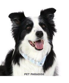 PET PARADISE クールリング 犬 クールネック ひんやり 28℃クールリング 【Ｍ】 リフレクター 水色 ベージュ 反射材付き