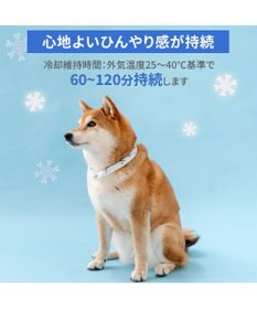 PET PARADISE ペットパラダイス ２８℃ クールリング Ｍ 《サメ柄》
