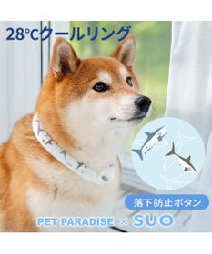PET PARADISE ペットパラダイス ２８℃ クールリング Ｍ 《サメ柄》