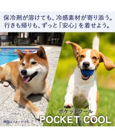 PET PARADISE ペットパラダイス くまちゃん フード付き クール ベスト 小型犬