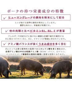 PET PARADISE  ペットパラダイス ドッグフード フローラ 1kg 国産