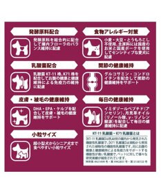 PET PARADISE  ペットパラダイス ドッグフード フローラ 1kg 国産