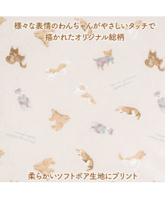 PET PARADISE ペットパラダイス makokoro シニアベッド 《犬柄》 Ｌ