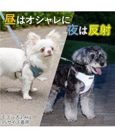 PET PARADISE ペットパラダイス 超反射 切り替え ハーネス＆リード ＳＳ 《ブルーグリーン》