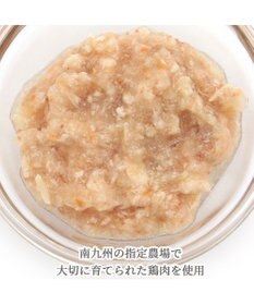 PET PARADISE リアル フード パウチ スープ 《レバー＆キャロット》 50g×3パック 国産