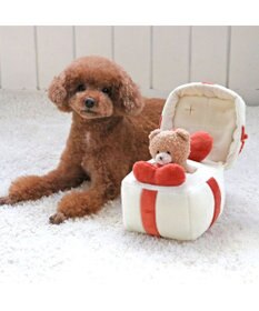 PET PARADISE ペットパラダイス プレゼント トイ