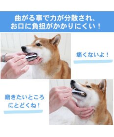PET PARADISE ペットパラダイス 曲がる歯ブラシ 全犬種用
