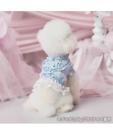 PET PARADISE cherircouture フリルシャツ 《ライトブルー》 小型犬