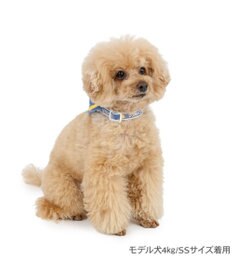PET PARADISE ディズニー ドナルドダック セーラー付き首輪 ＳＳ
