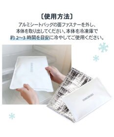 PET PARADISE ペットパラダイス やわらかアイス枕 グレー 2026