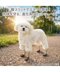PET PARADISE ペットパラダイス くまちゃん スリットシューズ Ｓ