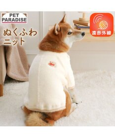 PET PARADISE ペットパラダイス くまちゃん ぬくふわニット 中型犬 大型犬