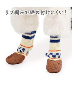 PET PARADISE ペットパラダイス スポーティー シューズ ＳＳ