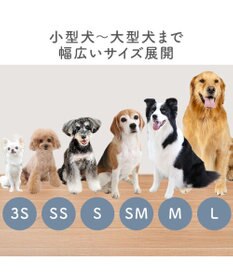 PET PARADISE ペットパラダイス スポーティー シューズ ＳＳ