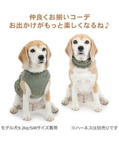 PET PARADISE ペットパラダイス ペタルオリーブ首輪 Ｌ