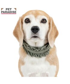 PET PARADISE ペットパラダイス ペタルオリーブ首輪 Ｌ