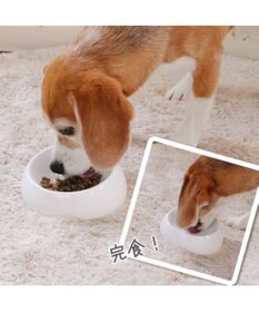 PET PARADISE リアル フード パウチ スープ 《レバー＆キャロット》 50g×3パック 国産