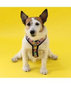 PET PARADISE スヌーピー 75周年 アクティブ ハーネス 小型犬 S